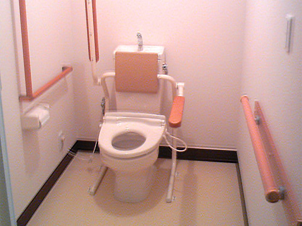 デイメイトイコーナのトイレ写真